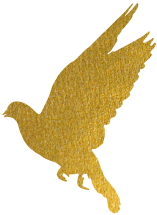 重磅升級！中為檢驗完成CNAS擴項(圖1)